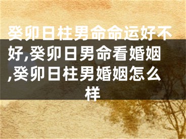 癸卯日柱男命命运好不好,癸卯日男命看婚姻,癸卯日柱男婚姻怎么样
