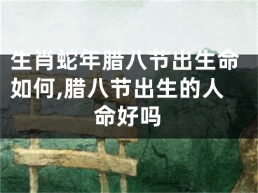 生肖蛇年腊八节出生命如何,腊八节出生的人命好吗