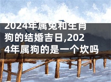 2024年属兔和生肖狗的结婚吉日,2024年属狗的是一个坎吗