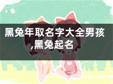 黑兔年取名字大全男孩,黑兔起名