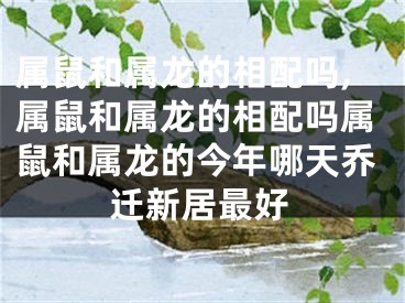 属鼠和属龙的相配吗,属鼠和属龙的相配吗属鼠和属龙的今年哪天乔迁新居最好