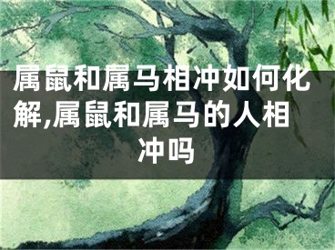 属鼠和属马相冲如何化解,属鼠和属马的人相冲吗