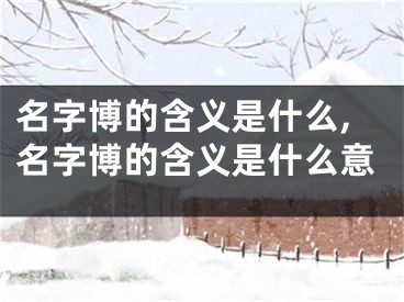 名字博的含义是什么,名字博的含义是什么意