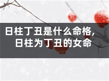 日柱丁丑是什么命格,日柱为丁丑的女命