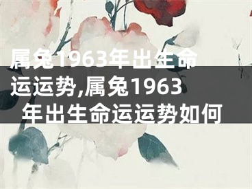 属兔1963年出生命运运势,属兔1963年出生命运运势如何