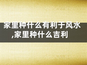 家里种什么有利于风水,家里种什么吉利