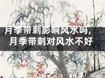 月季带刺影响风水吗,月季带刺对风水不好