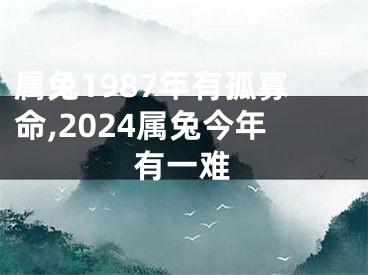 属兔1987年有孤寡命,2024属兔今年有一难