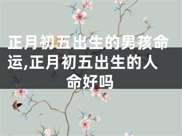 正月初五出生的男孩命运,正月初五出生的人命好吗
