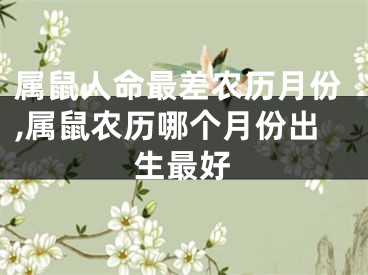 属鼠人命最差农历月份,属鼠农历哪个月份出生最好