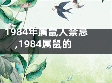 1984年属鼠人禁忌,1984属鼠的