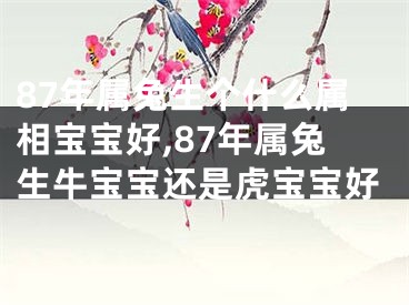 87年属兔生个什么属相宝宝好,87年属兔生牛宝宝还是虎宝宝好