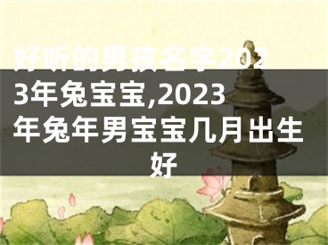 好听的男孩名字2023年兔宝宝,2023年兔年男宝宝几月出生好