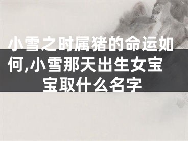 小雪之时属猪的命运如何,小雪那天出生女宝宝取什么名字