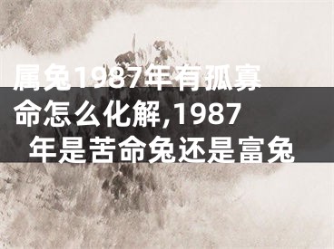 属兔1987年有孤寡命怎么化解,1987年是苦命兔还是富兔