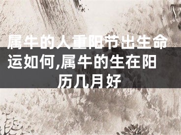属牛的人重阳节出生命运如何,属牛的生在阳历几月好