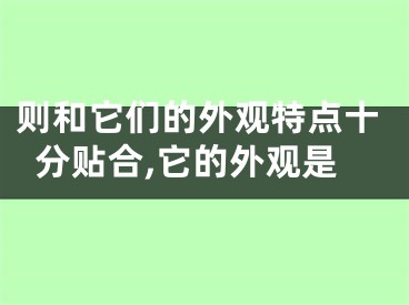 则和它们的外观特点十分贴合,它的外观是