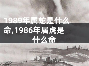 1989年属蛇是什么命,1986年属虎是什么命