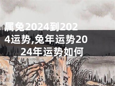 属兔2024到2024运势,兔年运势2024年运势如何