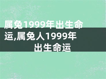 属兔1999年出生命运,属兔人1999年出生命运