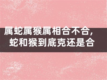 属蛇属猴属相合不合,蛇和猴到底克还是合