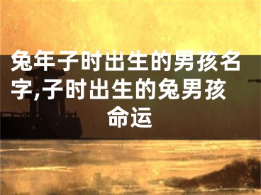 兔年子时出生的男孩名字,子时出生的兔男孩命运