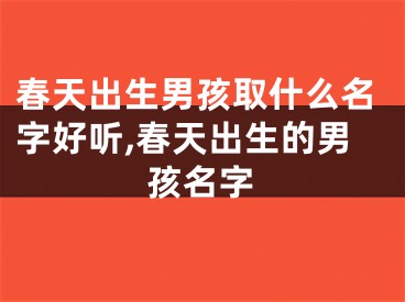 春天出生男孩取什么名字好听,春天出生的男孩名字