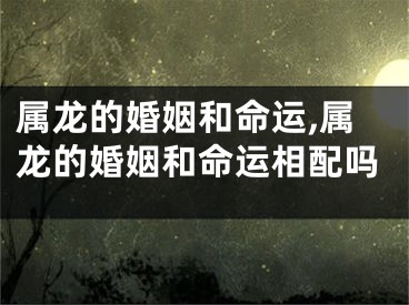 属龙的婚姻和命运,属龙的婚姻和命运相配吗