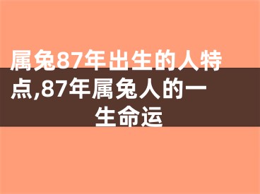 属兔87年出生的人特点,87年属兔人的一生命运