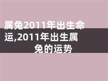 属兔2011年出生命运,2011年出生属兔的运势
