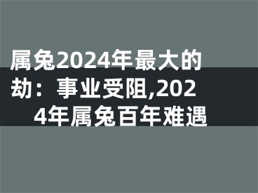 属兔2024年最大的劫：事业受阻,2024年属兔百年难遇