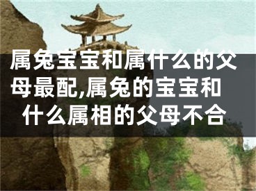 属兔宝宝和属什么的父母最配,属兔的宝宝和什么属相的父母不合