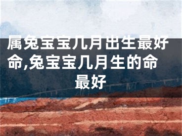 属兔宝宝几月出生最好命,兔宝宝几月生的命最好