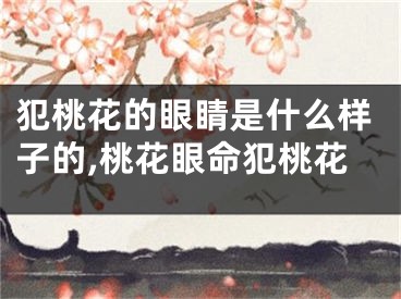 犯桃花的眼睛是什么样子的,桃花眼命犯桃花