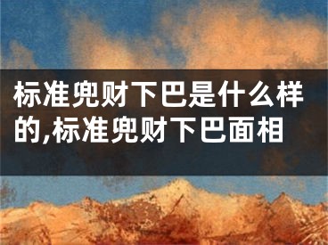 标准兜财下巴是什么样的,标准兜财下巴面相