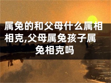 属兔的和父母什么属相相克,父母属兔孩子属兔相克吗