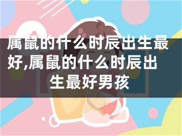 属鼠的什么时辰出生最好,属鼠的什么时辰出生最好男孩