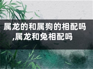 属龙的和属狗的相配吗,属龙和兔相配吗
