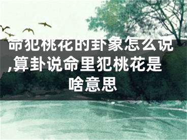 命犯桃花的卦象怎么说,算卦说命里犯桃花是啥意思
