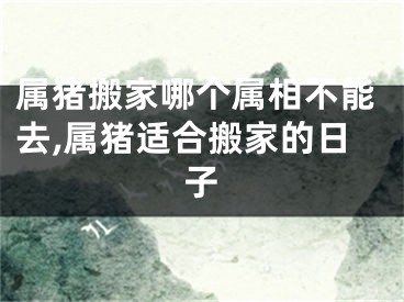 属猪搬家哪个属相不能去,属猪适合搬家的日子