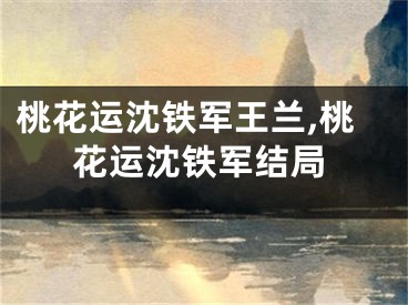 桃花运沈铁军王兰,桃花运沈铁军结局