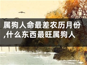属狗人命最差农历月份,什么东西最旺属狗人