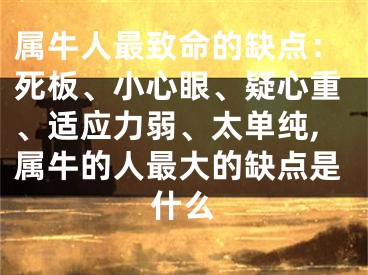 属牛人最致命的缺点：死板、小心眼、疑心重、适应力弱、太单纯,属牛的人最大的缺点是什么