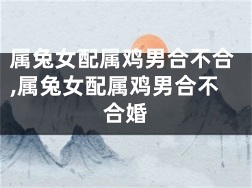 属兔女配属鸡男合不合,属兔女配属鸡男合不合婚