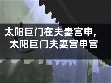 太阳巨门在夫妻宫申,太阳巨门夫妻宫申宫
