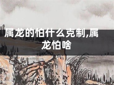 属龙的怕什么克制,属龙怕啥