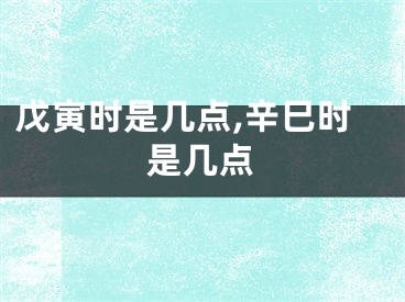 戊寅时是几点,辛巳时是几点