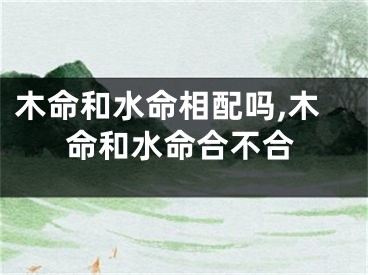 木命和水命相配吗,木命和水命合不合