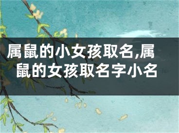 属鼠的小女孩取名,属鼠的女孩取名字小名