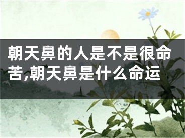 朝天鼻的人是不是很命苦,朝天鼻是什么命运